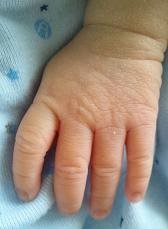 生後0ヶ月の手